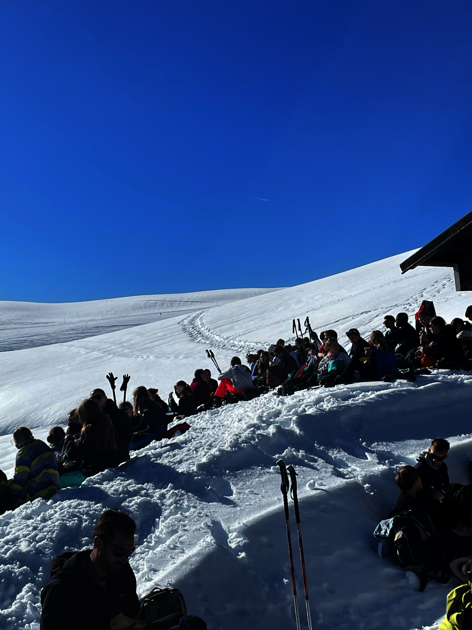 Schüler*innen bei einer Schneeschuhwanderung.