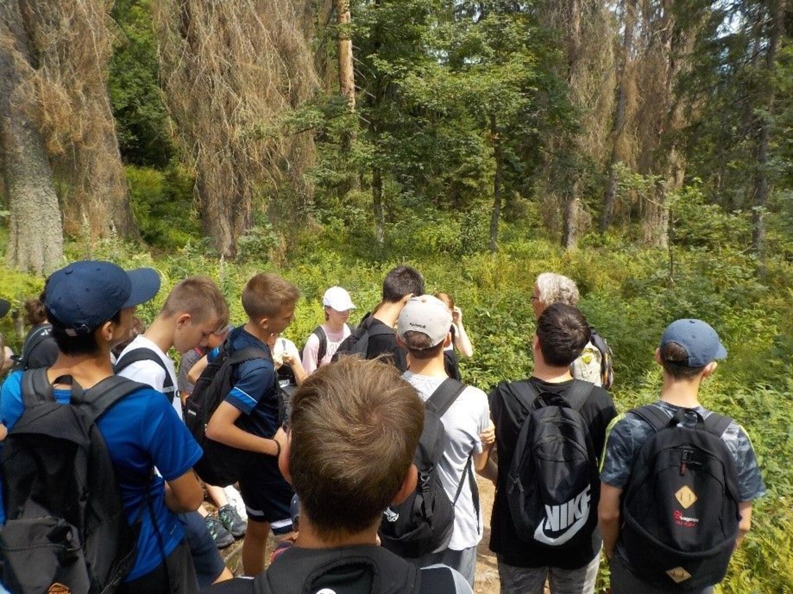 Schüler*innen bei einer Wanderung im Wald.